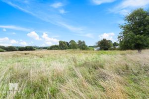 Photo 21- click for photo gallery